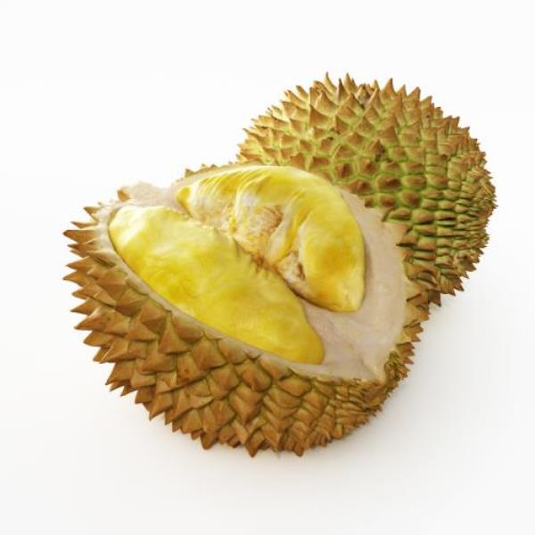 DurianFruit